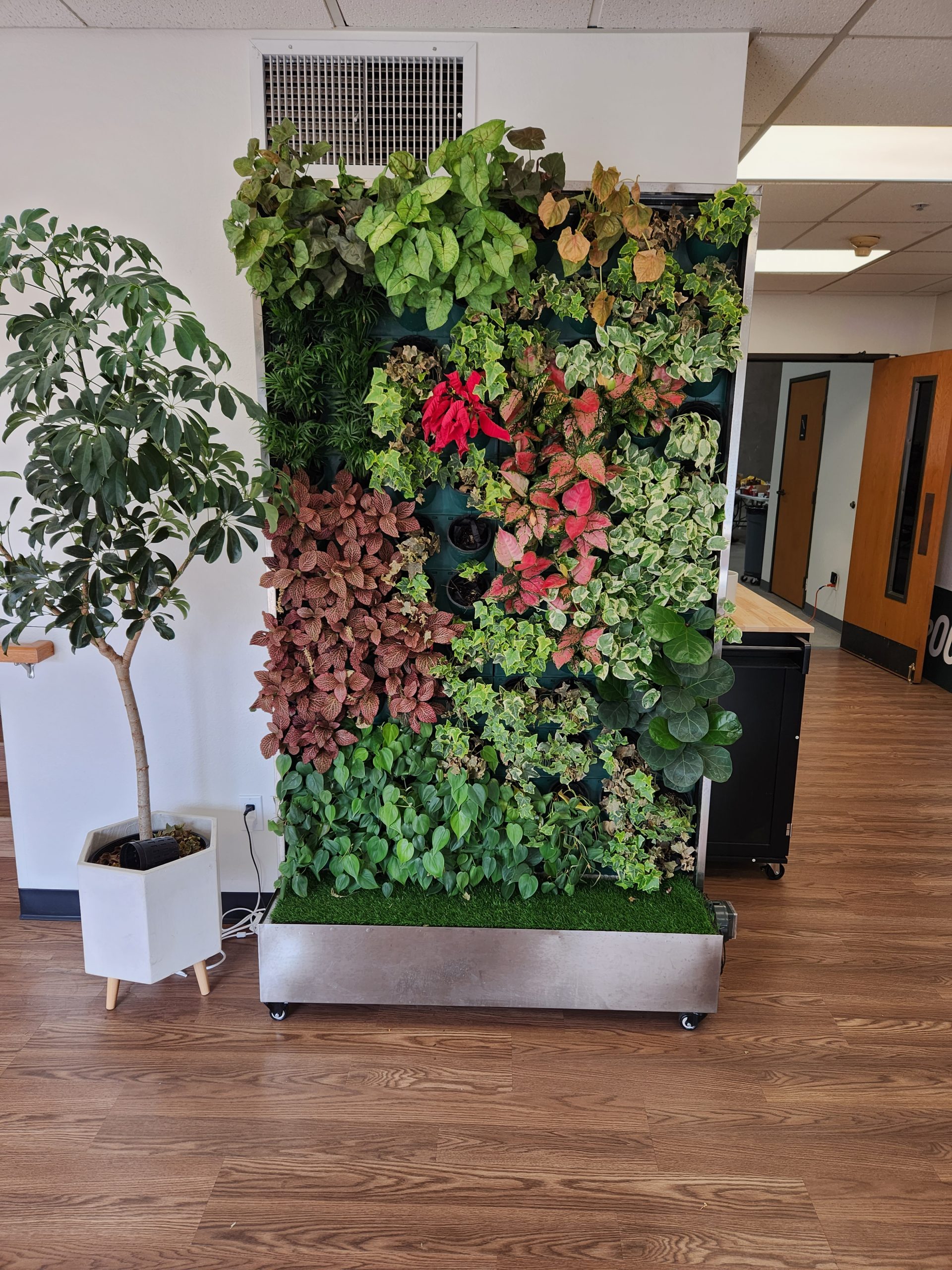 EcoDecoWall