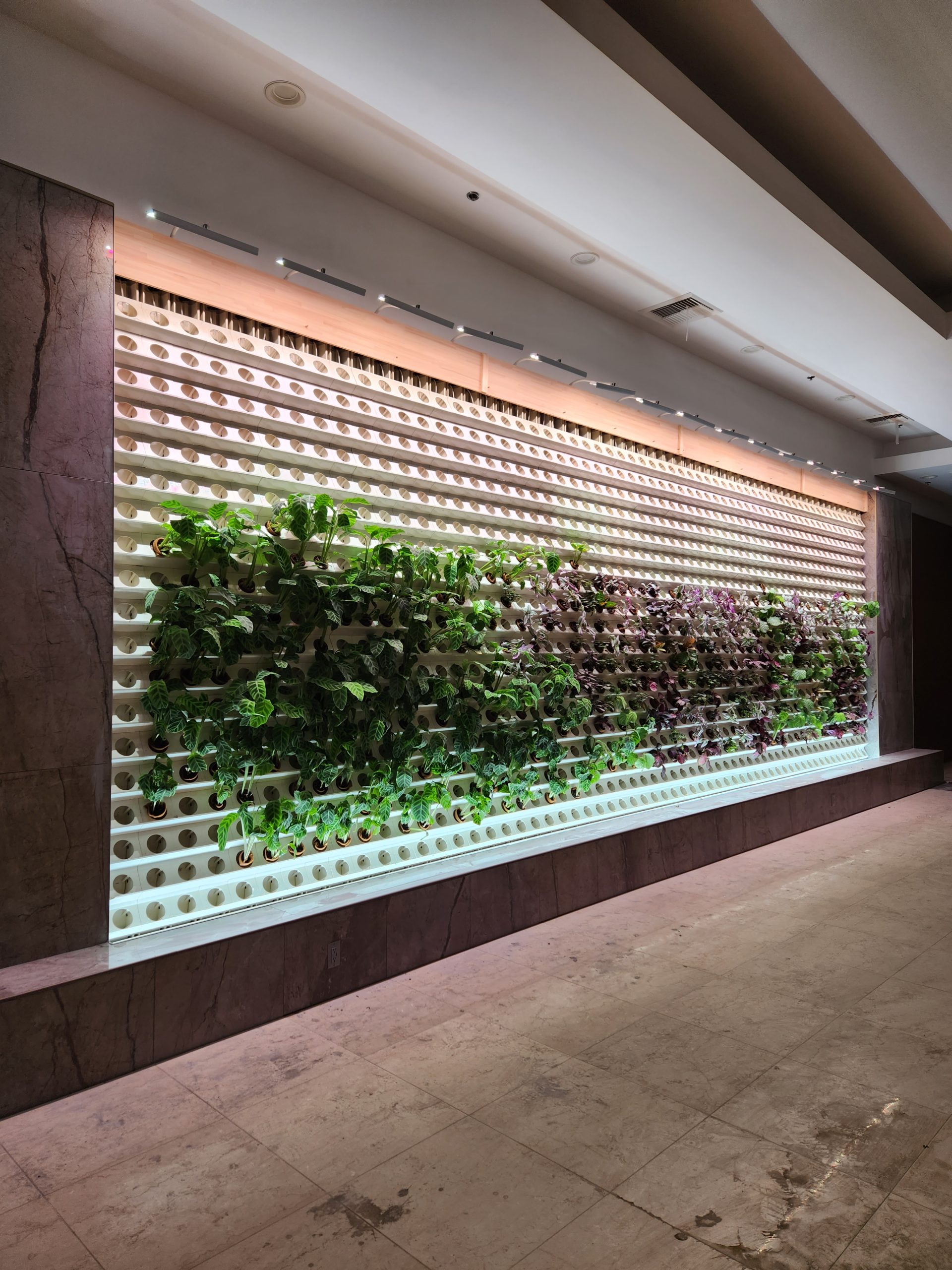 EcoDecoWall