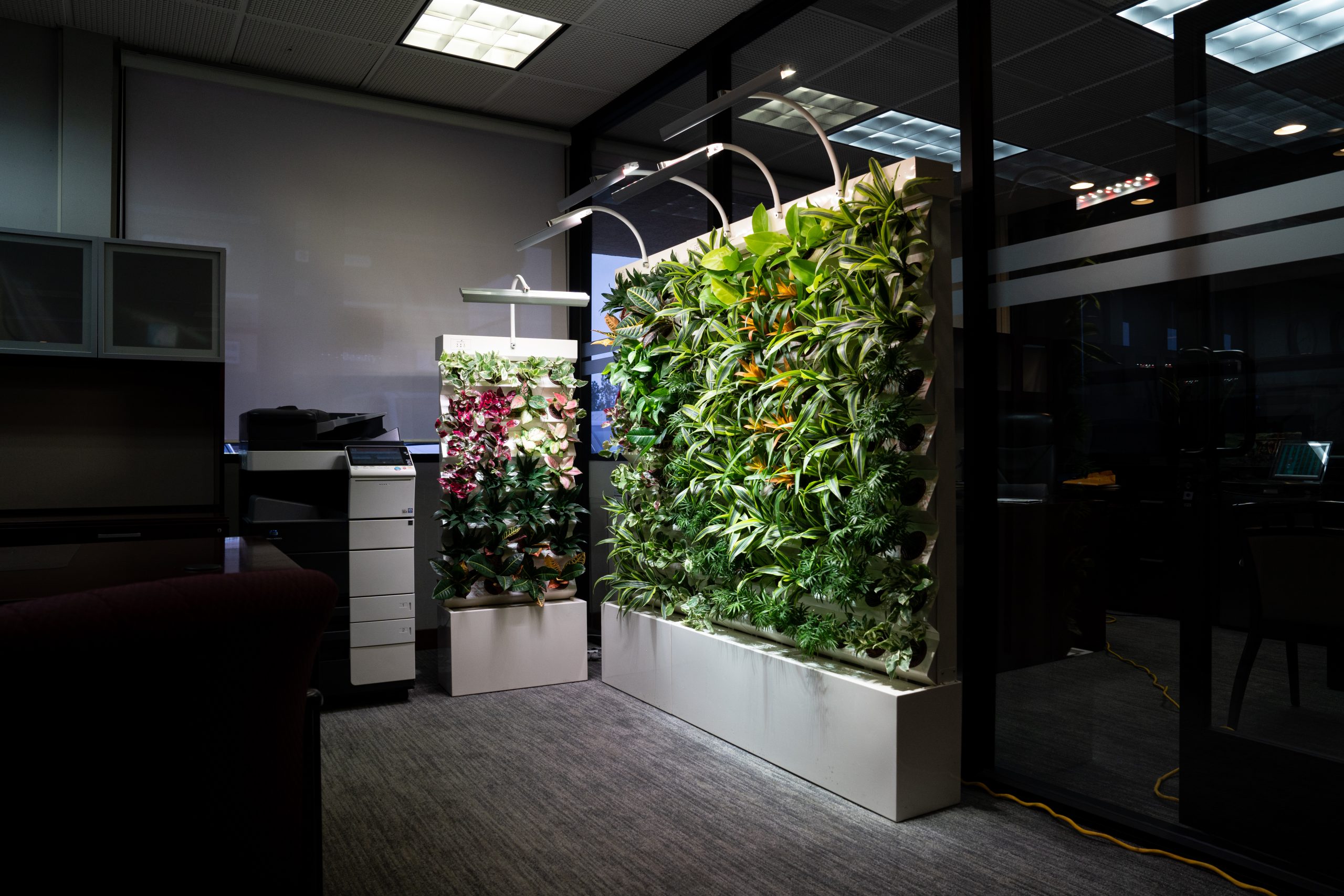 EcoDecoWall