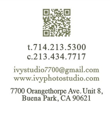Ivy Studio